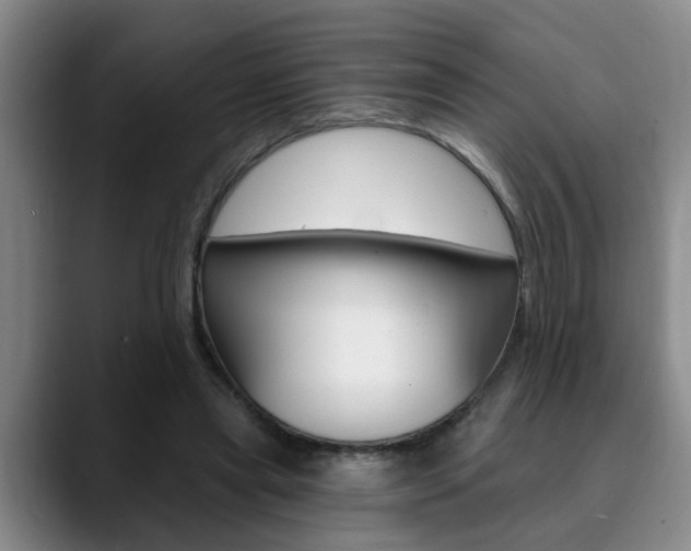 X0000090730445200707200958
