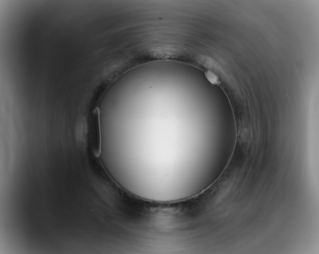 X0000090730448200707200958