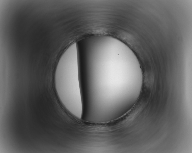 X0000090730449200707200958