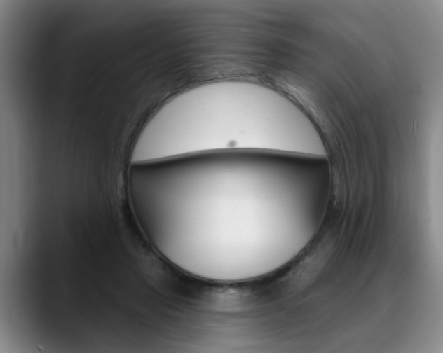 X0000090730453200707200958