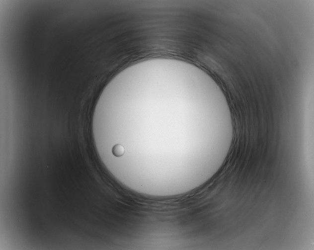 X0000090730456200707200958