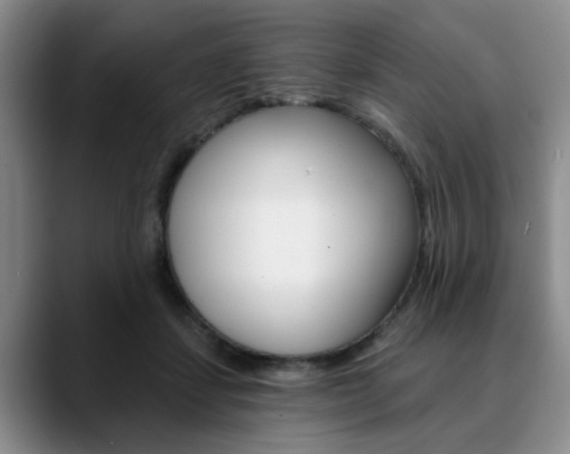 X0000090730459200707200958