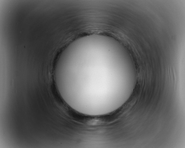 X0000090730460200707200958