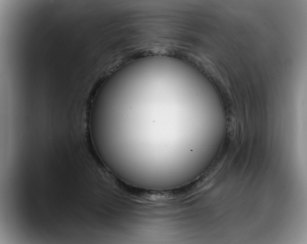 X0000090730466200707200958