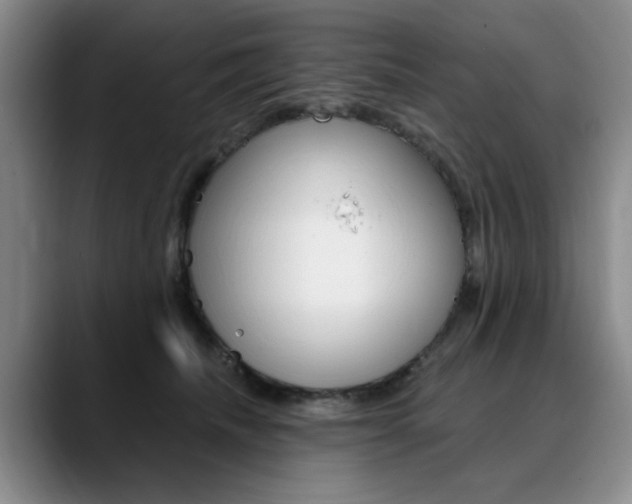 X0000090730468200707200958