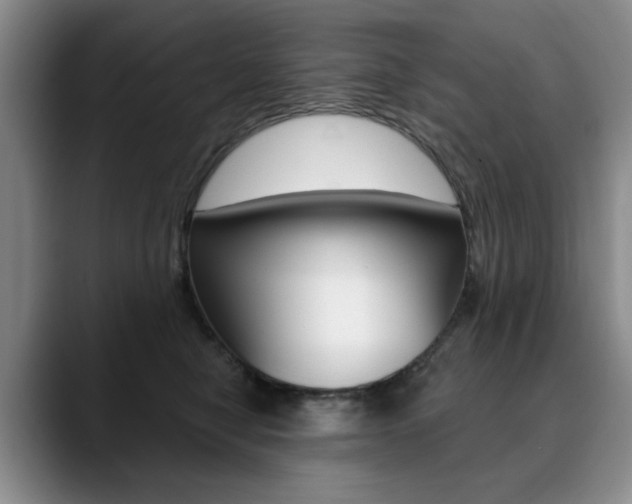X0000090730470200707200958