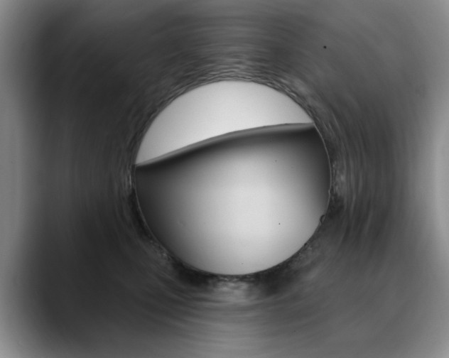 X0000090730471200707200958