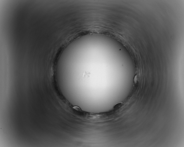 X0000090730472200707200958