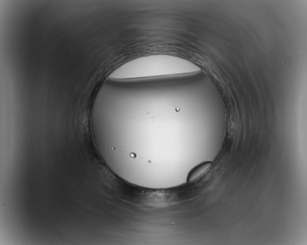 X0000090730473200707200958