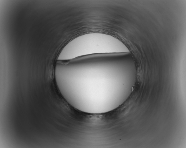 X0000090730474200707200958
