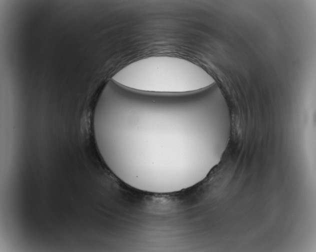 X0000090730475200707200958