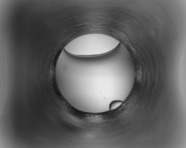 X0000090730476200707200958