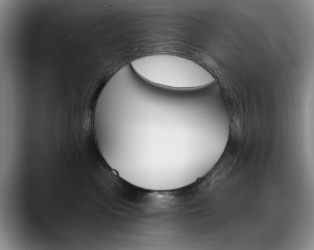 X0000090730477200707200958