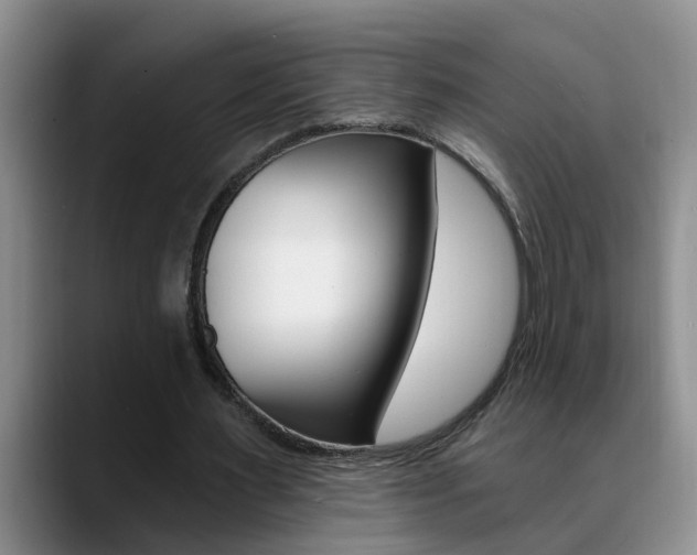 X0000090730483200707200958