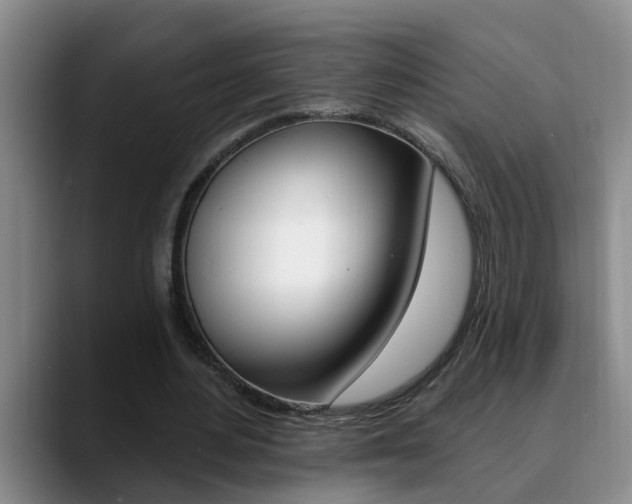 X0000090730484200707200958