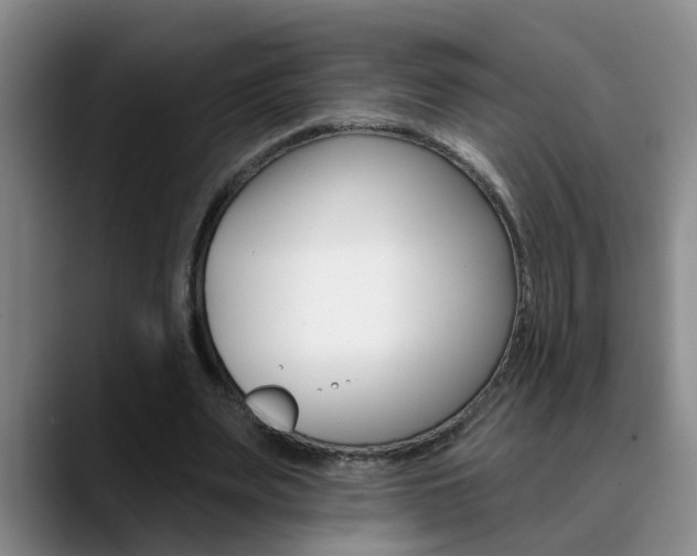 X0000090730487200707200958