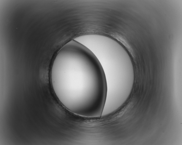 X0000090730489200707200958