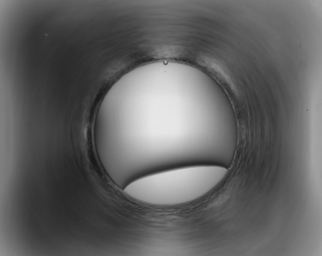 X0000090730491200707200958