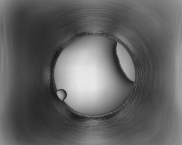 X0000090730494200707200958