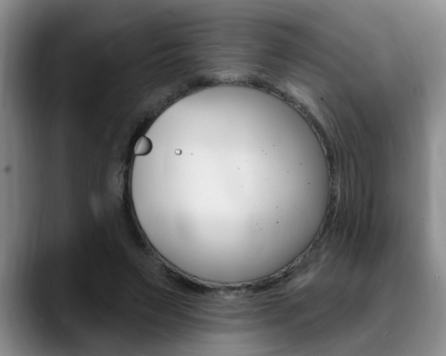 X0000090730495200707200958