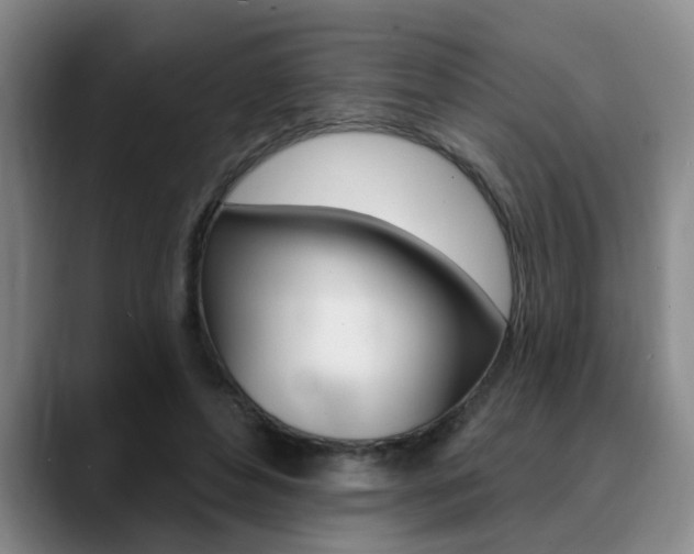 X0000090730496200707200958