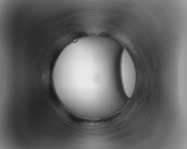 X0000090730498200707200958