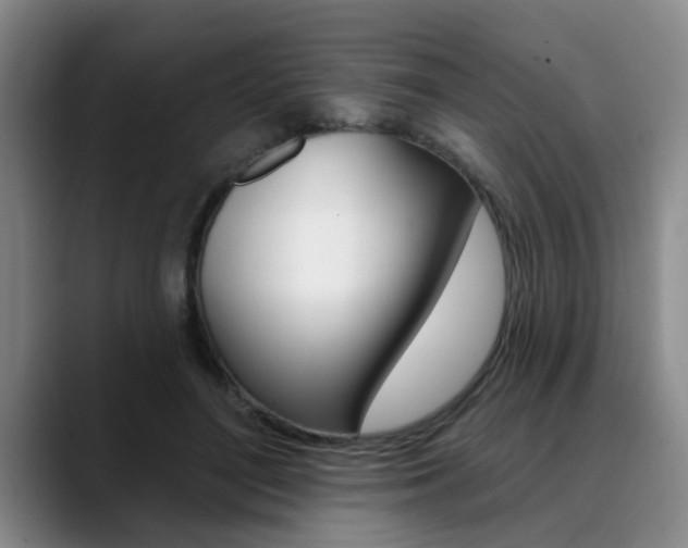 X0000090730500200707200958