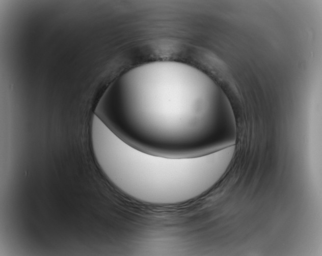 X0000090730505200707200958