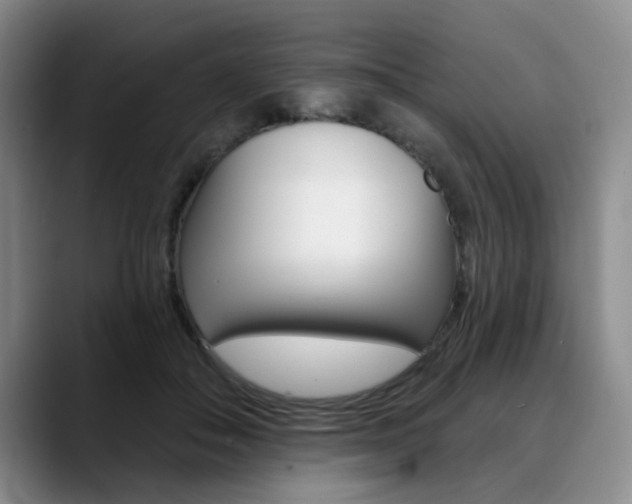 X0000090730506200707200958