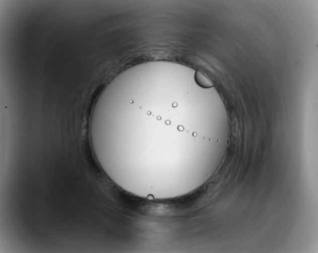 X0000090730507200707200958