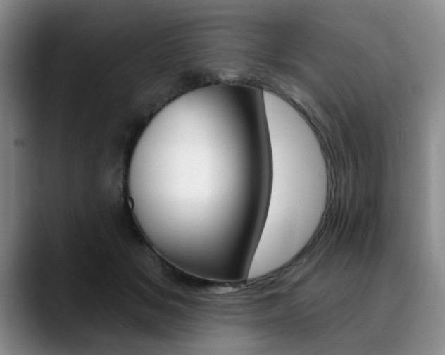 X0000090730509200707200958