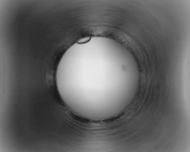 X0000090730510200707200957