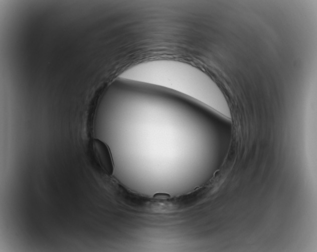 X0000090730512200707200957