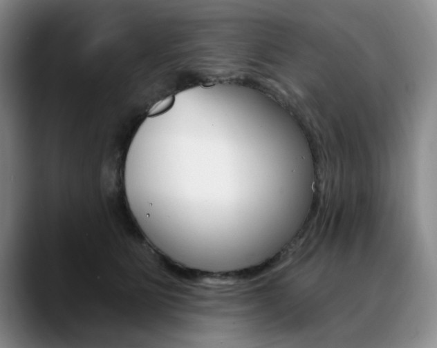 X0000090730515200707200957