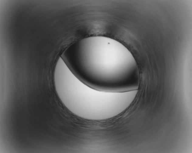 X0000090730517200707200957