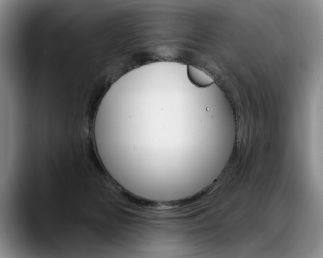 X0000090730518200707200957