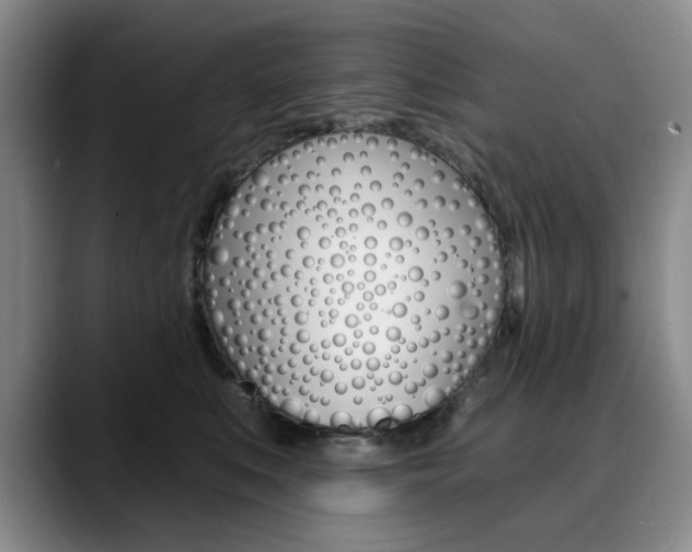 X0000090730519200707200957