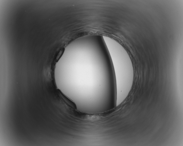 X0000090730520200707200957
