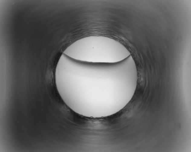 X0000090730523200707200957