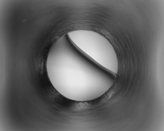 X0000090730525200707200957