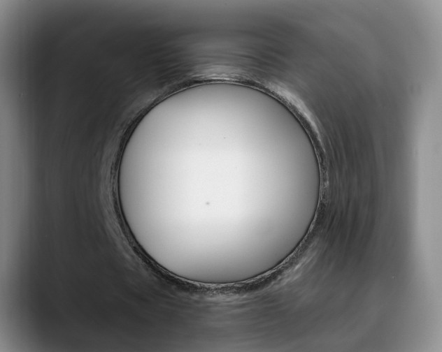 X0000090730529200707200957