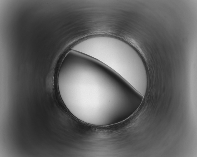 X0000090730531200707200957