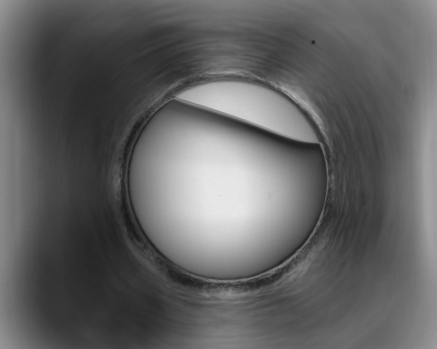 X0000090730533200707200957