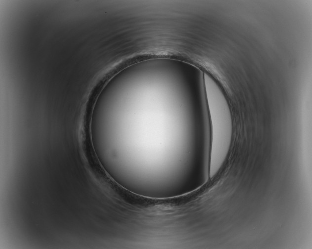 X0000090730536200707200957