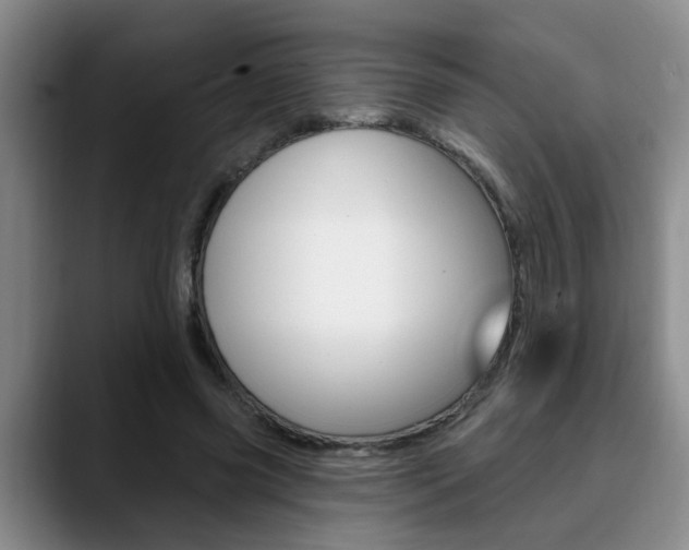 X0000090730541200707200957
