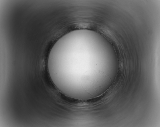 X0000090730551200707200957