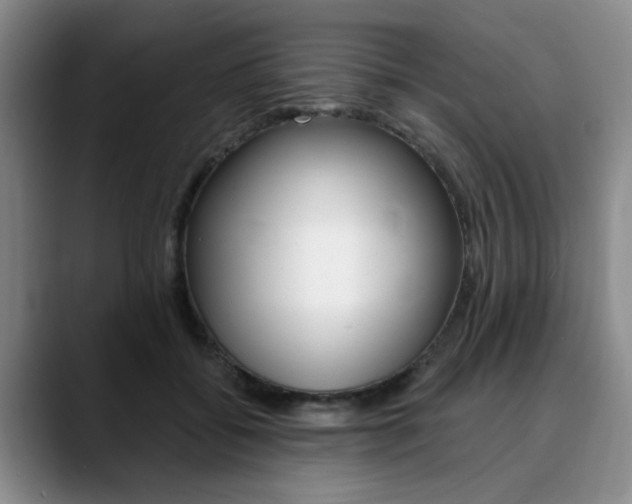 X0000090730556200707200957