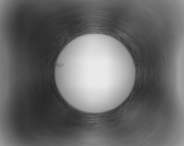 X0000090730560200707200957