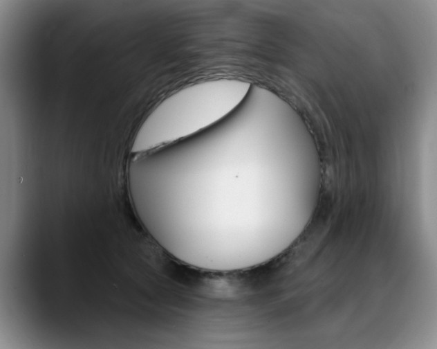 X0000090730561200707200957