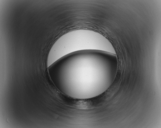 X0000090730562200707200957